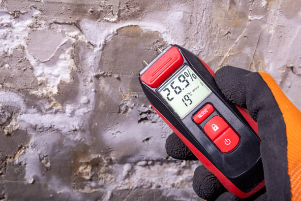Best Insurance-Related Mold Remediation in Dellwood, MO
