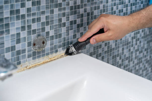 Best Health and Safety Mold Remediation in Dellwood, MO