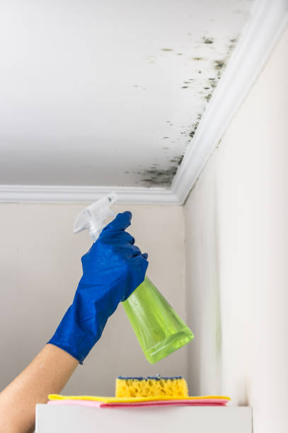 Best Post-Remediation Services in Dellwood, MO